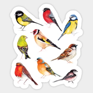 Watercolour Garden Birds Collection Sticker